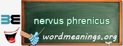 WordMeaning blackboard for nervus phrenicus